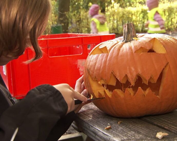 Schaurig-schöner Halloween-Spaß im Wildpark Knüll