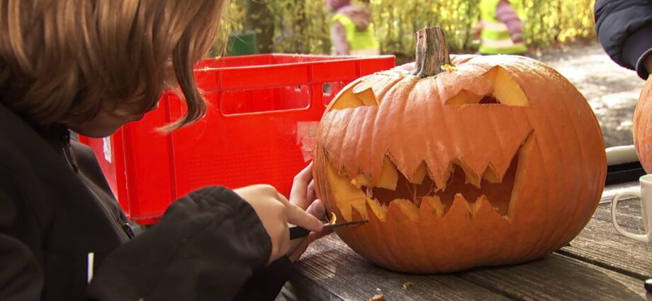 Schaurig-schöner Halloween-Spaß im Wildpark Knüll Schaurig-schöner Halloween-Spaß im Wildpark Knüll